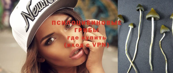 бутират Гусев