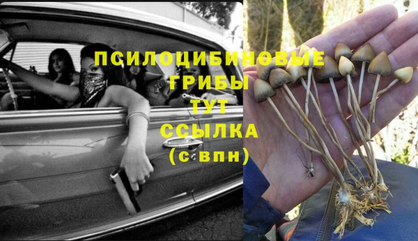 спиды Гусиноозёрск