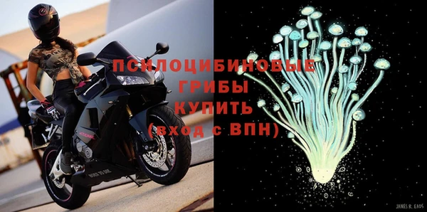 прущая мука Гусь-Хрустальный