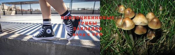 спиды Гусиноозёрск