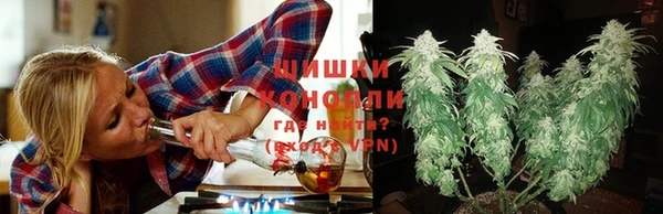 бутират Гусев