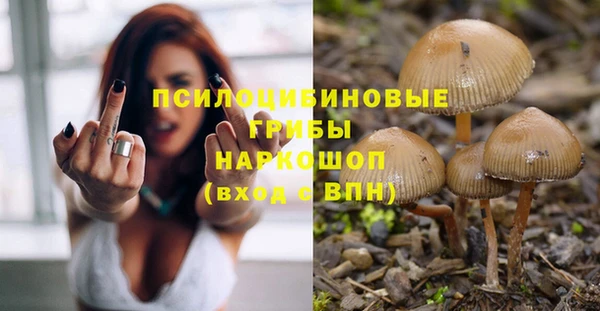 бутират Гусев