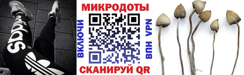даркнет как зайти  Камешково  Псилоцибиновые грибы мицелий 